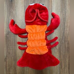 Lobster Costume for small dog or cat! Red/ orange w Velcro closure. Polyester